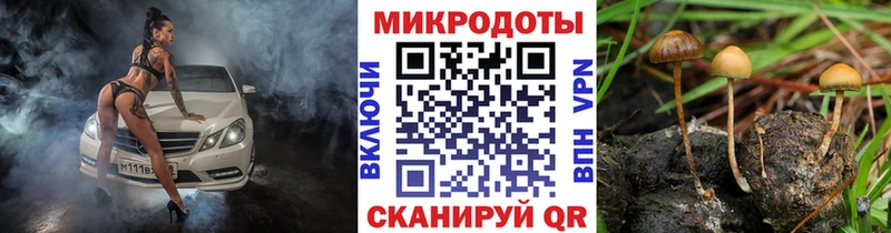 mega tor  Заозёрск  Галлюциногенные грибы Psilocybe  что такое наркотик 